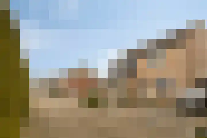 Stal 175 Drachten thumbnail 32