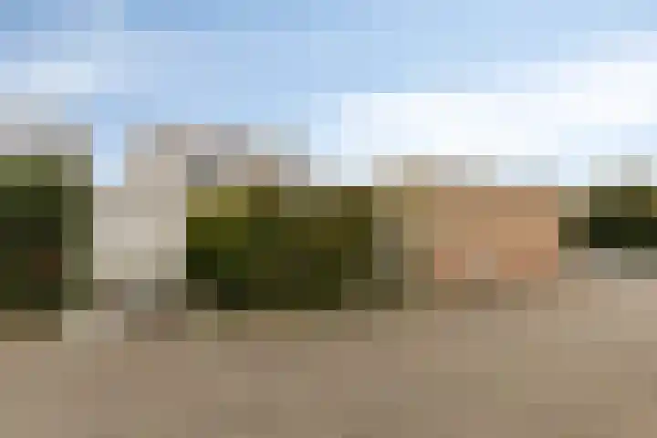 Stal 175 Drachten thumbnail 33
