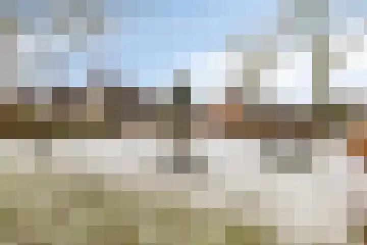Stal 175 Drachten thumbnail 34