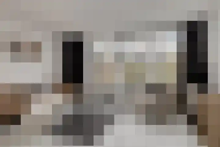 Stal 175 Drachten thumbnail 5