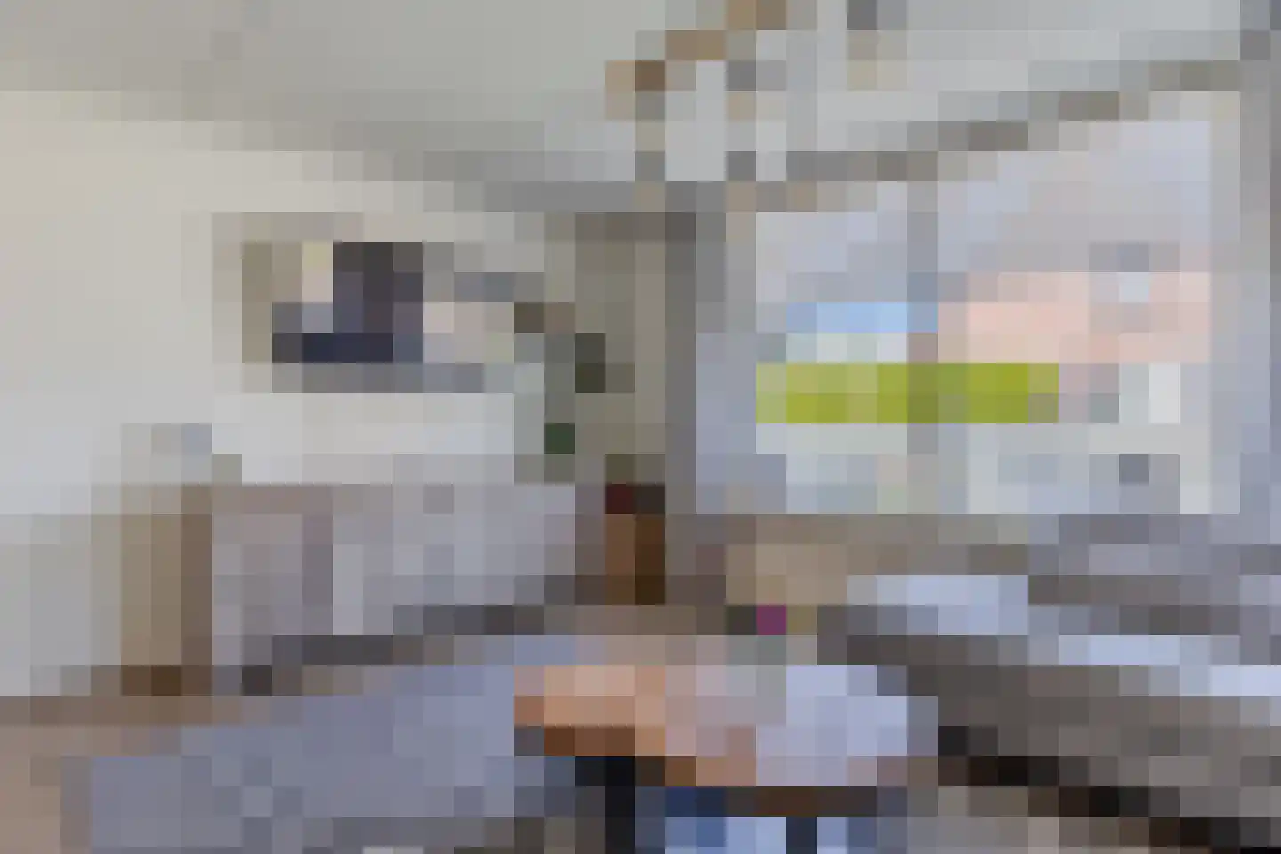 Stal 177 Drachten thumbnail 14