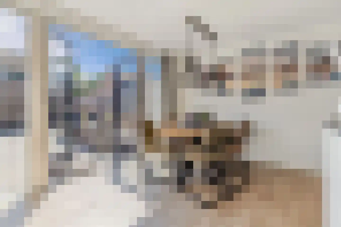 Stal 177 Drachten thumbnail 18
