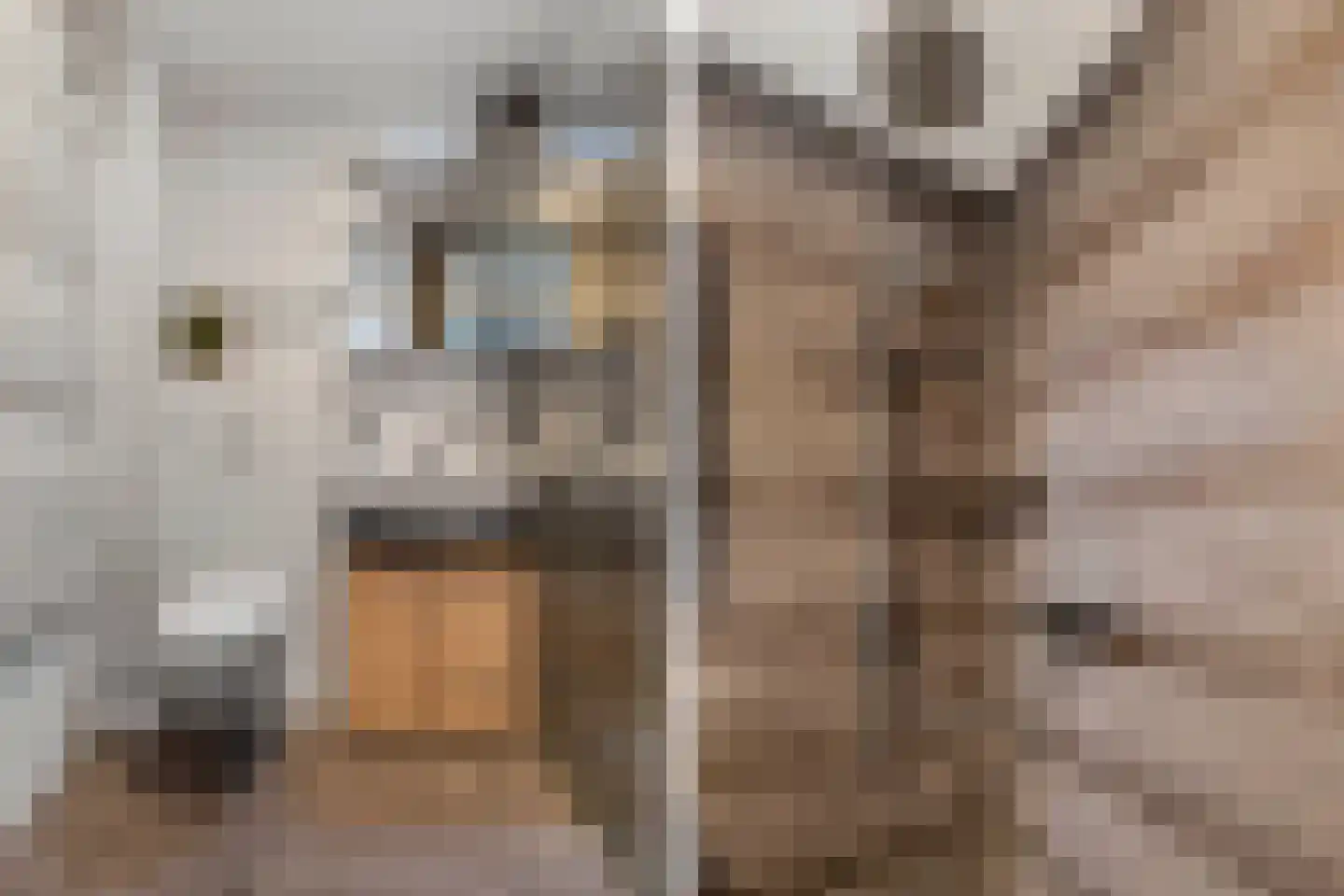 Stal 177 Drachten thumbnail 32
