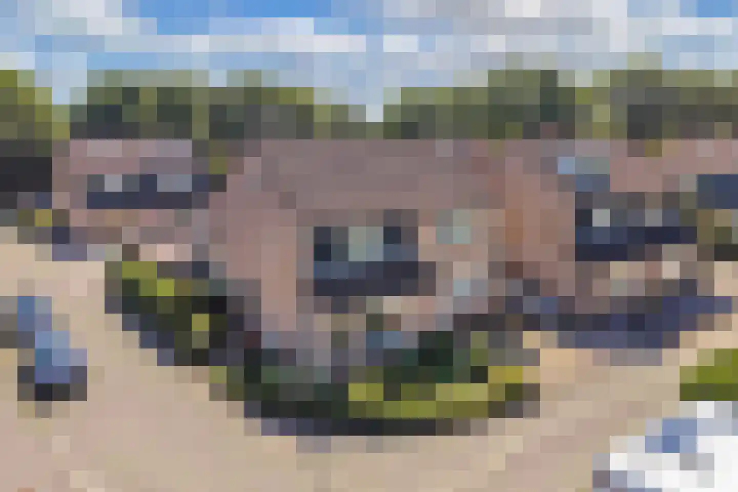 Stal 177 Drachten thumbnail 6