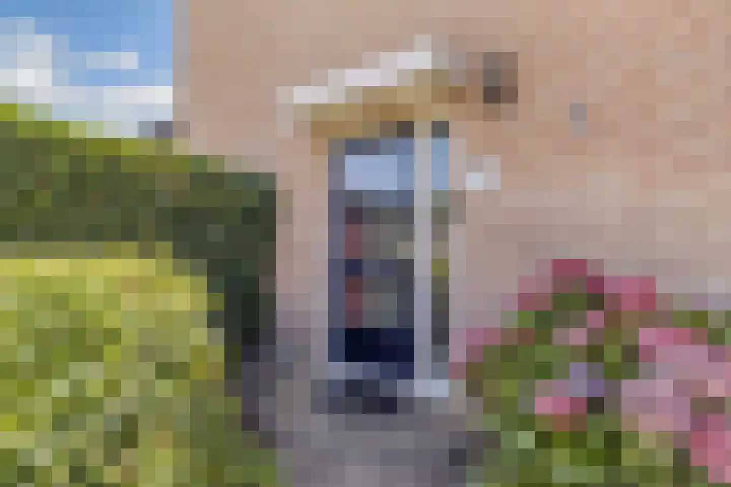 Stal 177 Drachten thumbnail 8