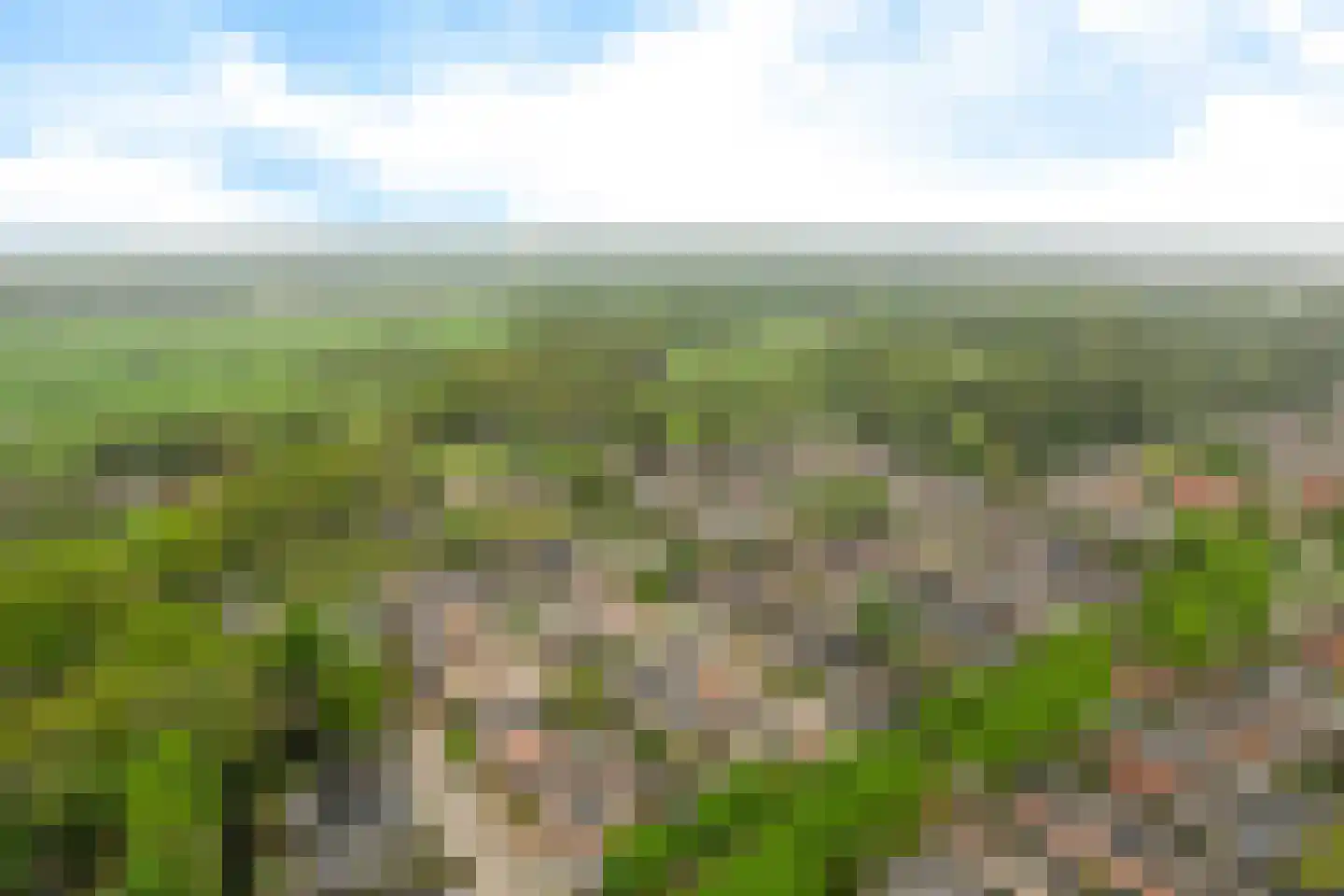 Stal 191 Drachten thumbnail 11