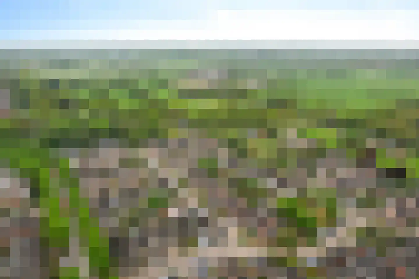 Stal 191 Drachten thumbnail 12