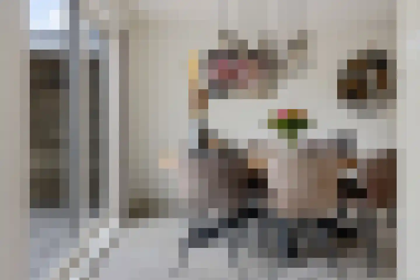 Stal 191 Drachten thumbnail 23