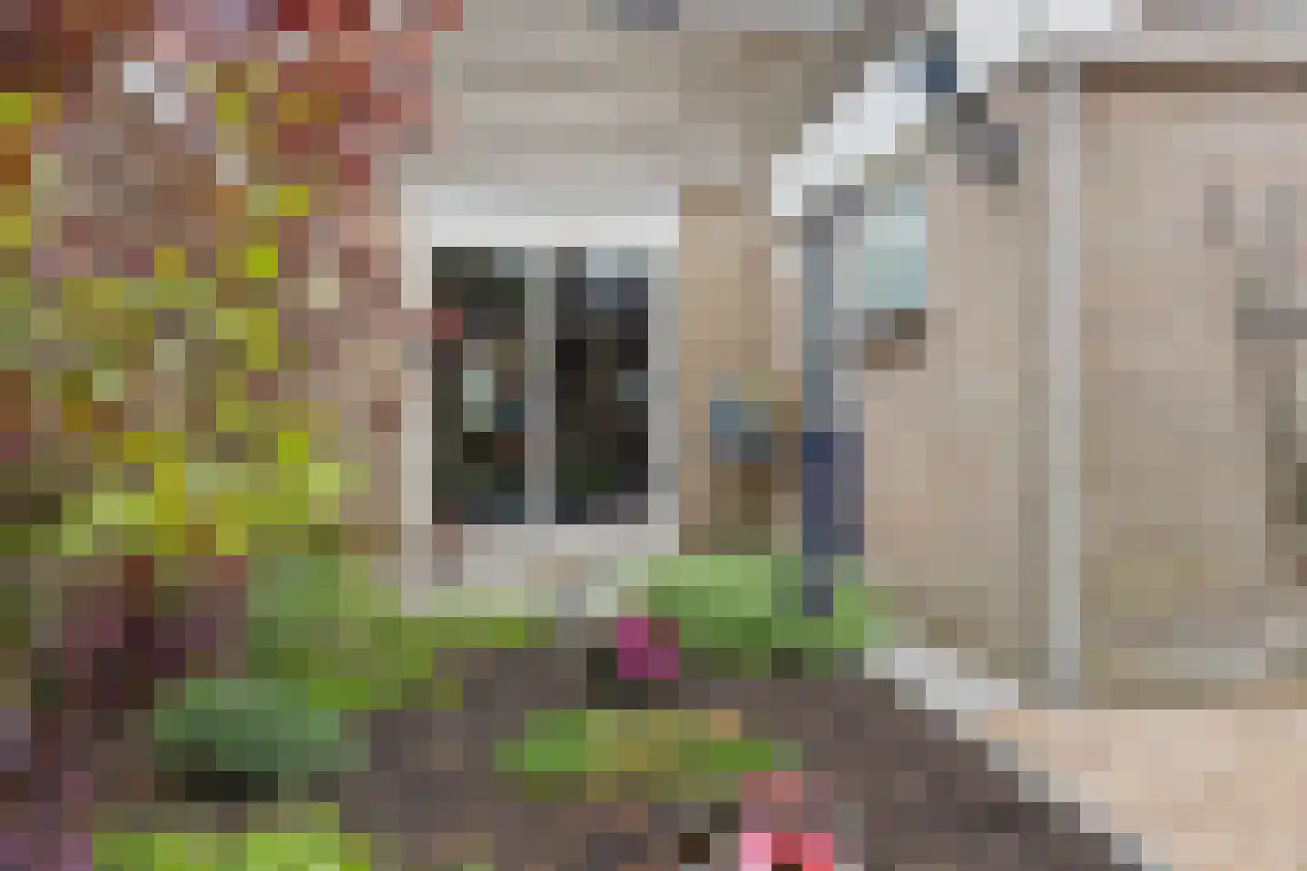 Stal 191 Drachten thumbnail 44