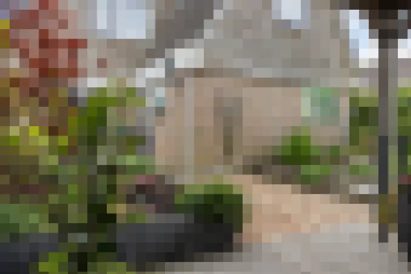 Stal 191 Drachten thumbnail 45