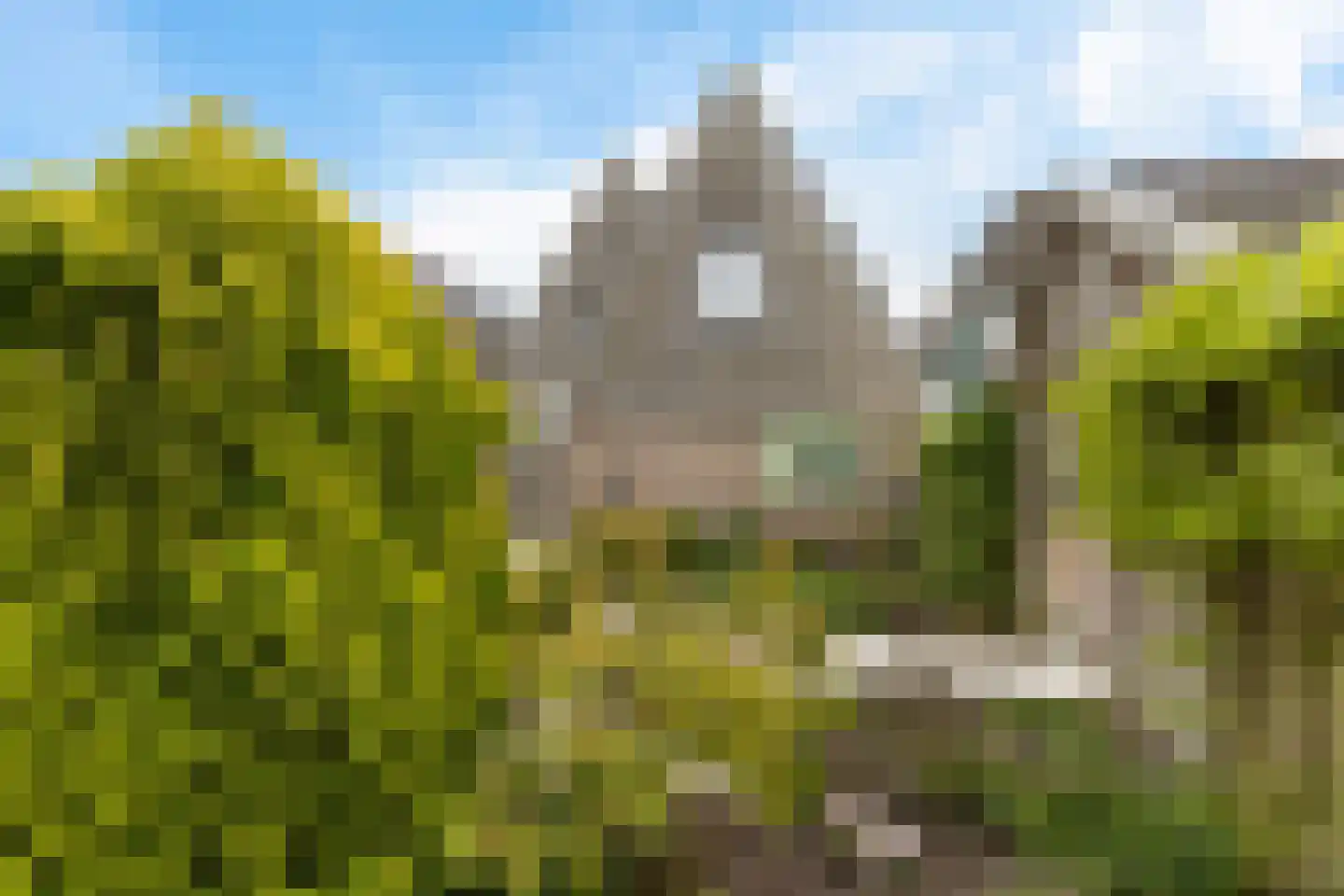 Stal 191 Drachten thumbnail 50