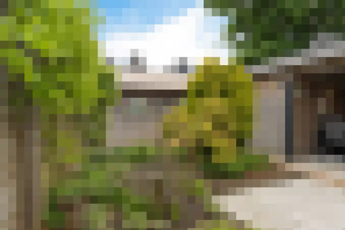 Stal 191 Drachten thumbnail 52