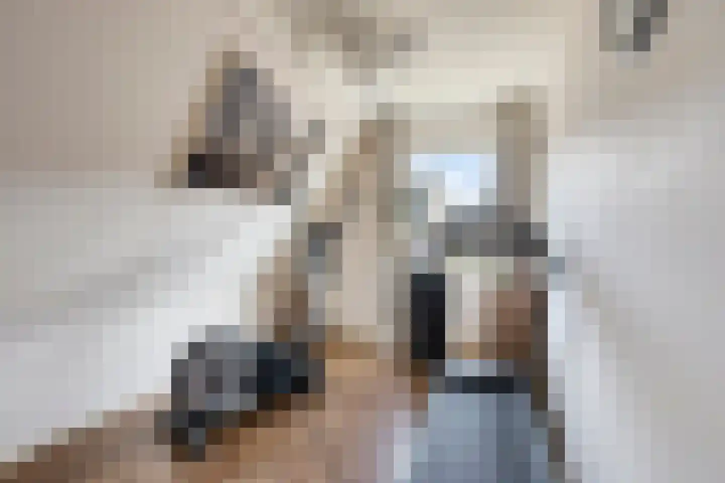 Stal 193 Drachten thumbnail 13
