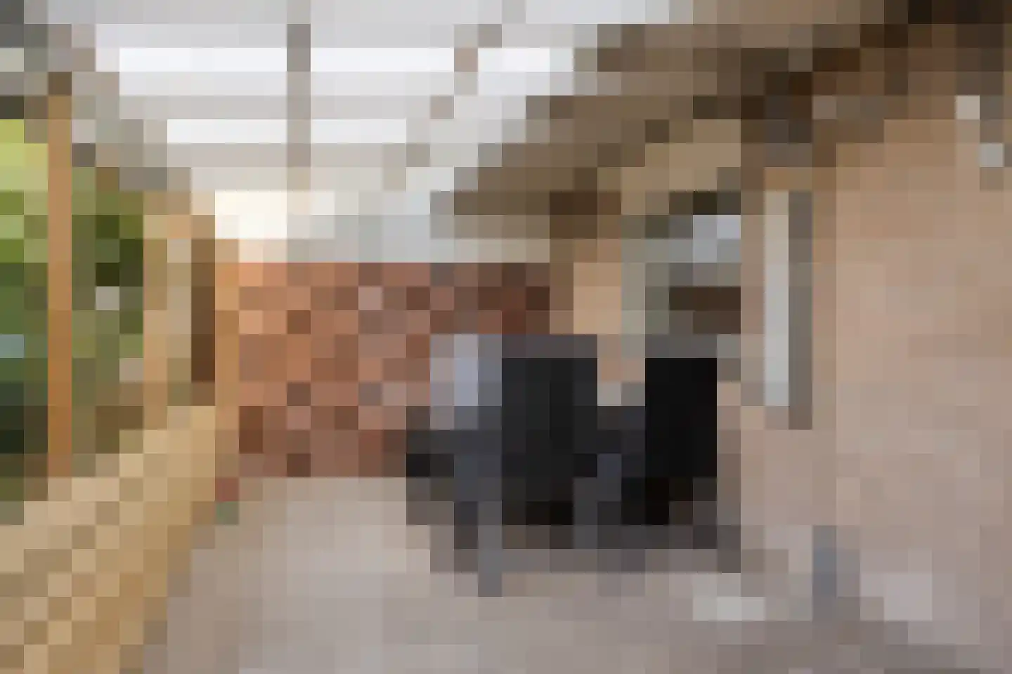 Stal 193 Drachten thumbnail 16