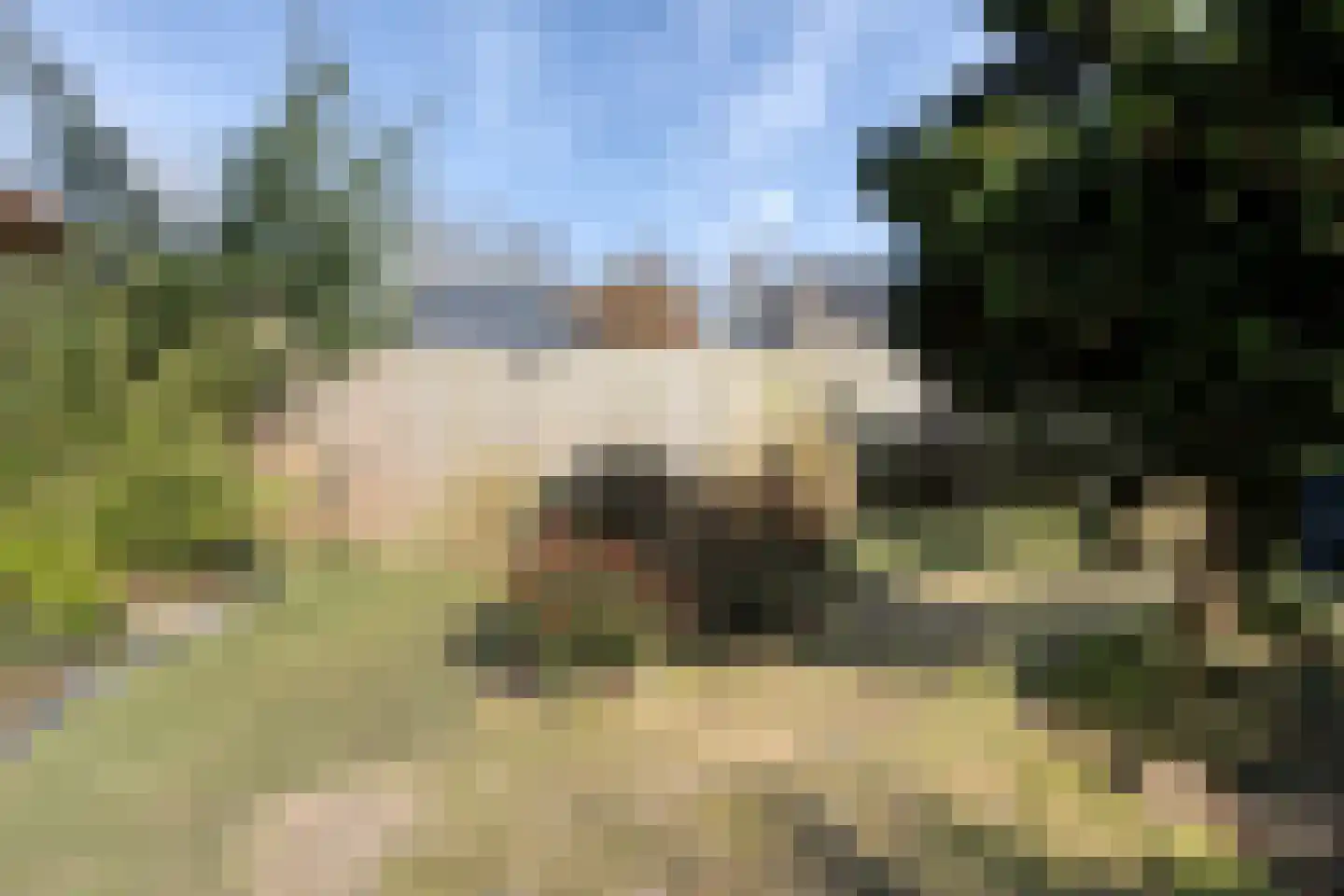 Stal 193 Drachten thumbnail 20