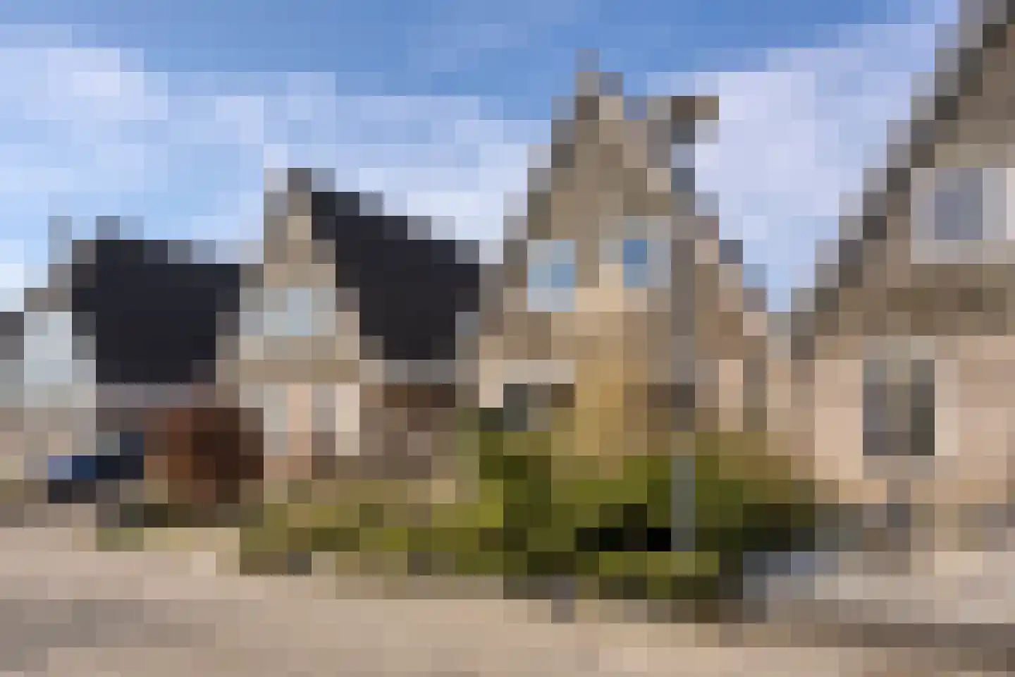 Stal 193 Drachten thumbnail 21