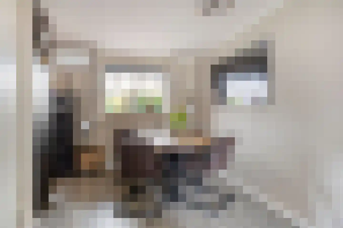 Stal 193 Drachten thumbnail 5