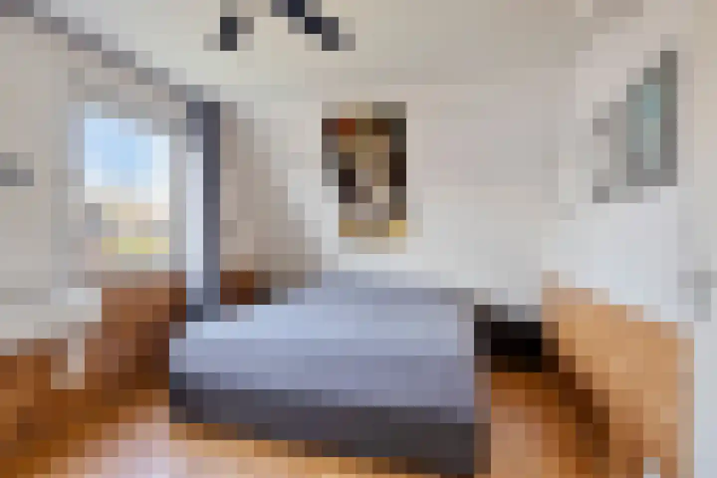 Stal 193 Drachten thumbnail 9