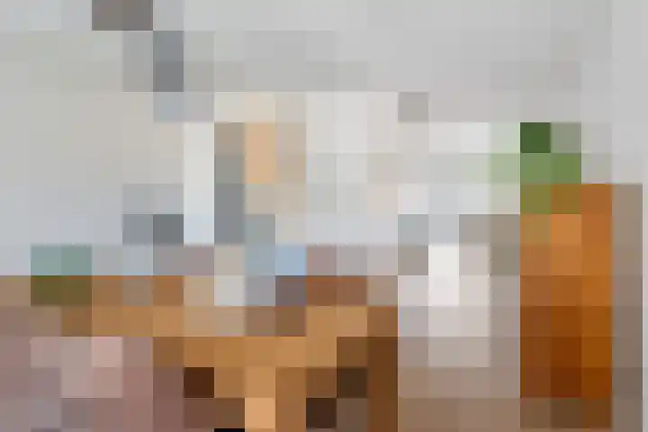 Stal 211 Drachten thumbnail 12