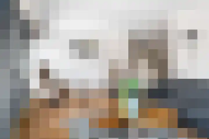 Stal 211 Drachten thumbnail 16