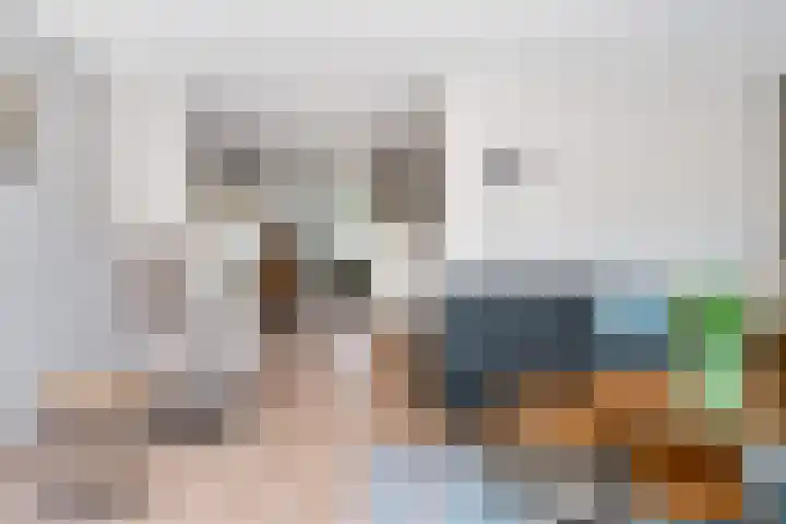 Stal 211 Drachten thumbnail 17