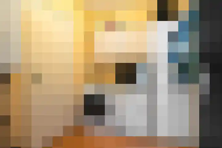 Stal 211 Drachten thumbnail 18