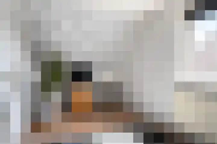 Stal 211 Drachten thumbnail 20