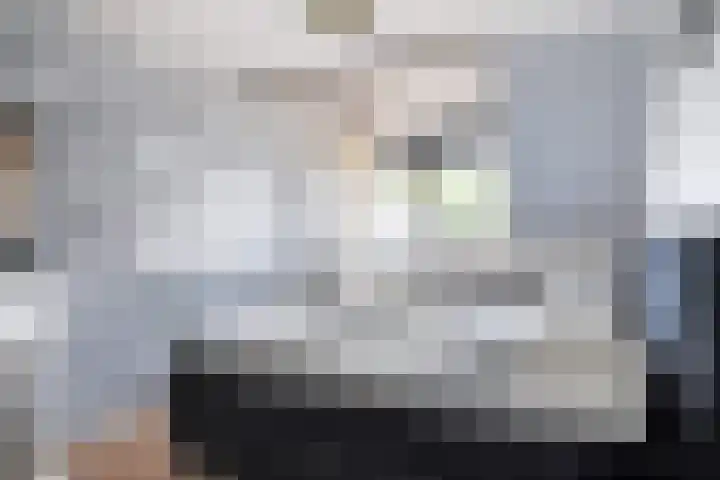 Stal 211 Drachten thumbnail 22
