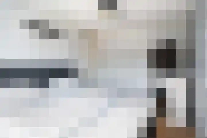 Stal 211 Drachten thumbnail 23