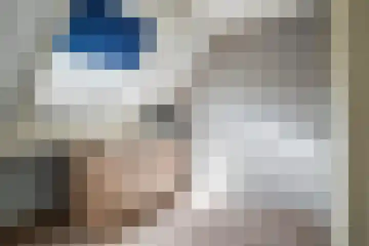 Stal 211 Drachten thumbnail 24