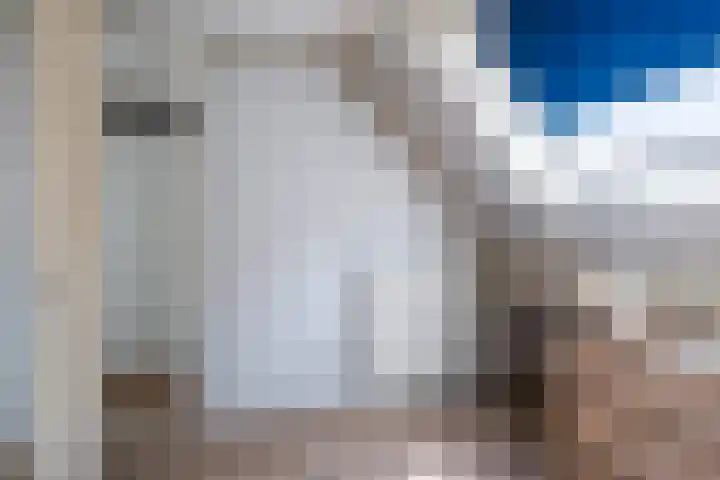 Stal 211 Drachten thumbnail 25