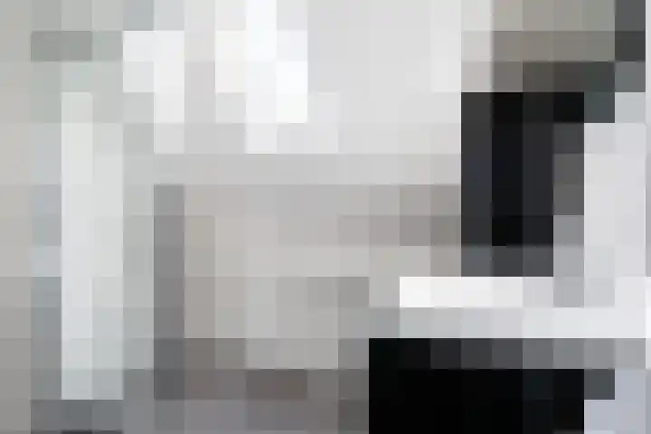 Stal 211 Drachten thumbnail 26