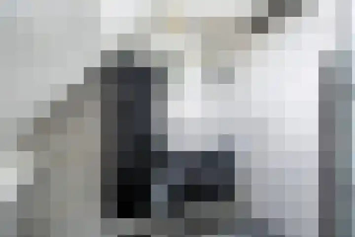 Stal 211 Drachten thumbnail 27