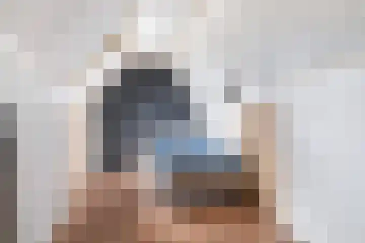 Stal 211 Drachten thumbnail 30
