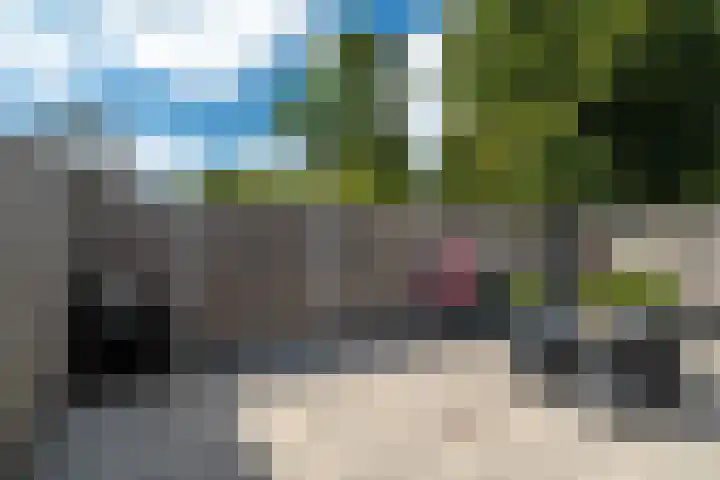 Stal 211 Drachten thumbnail 35