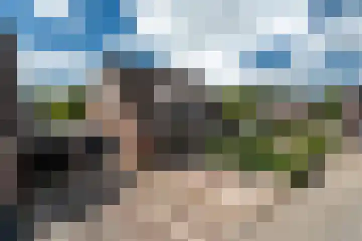 Stal 211 Drachten thumbnail 38
