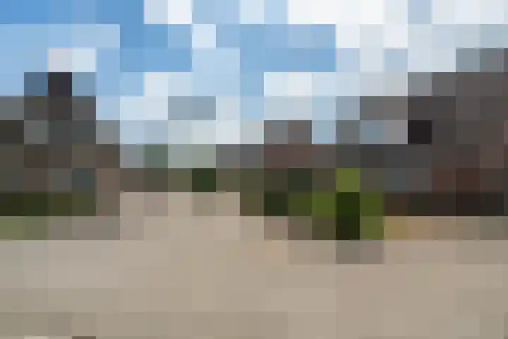 Stal 211 Drachten thumbnail 39