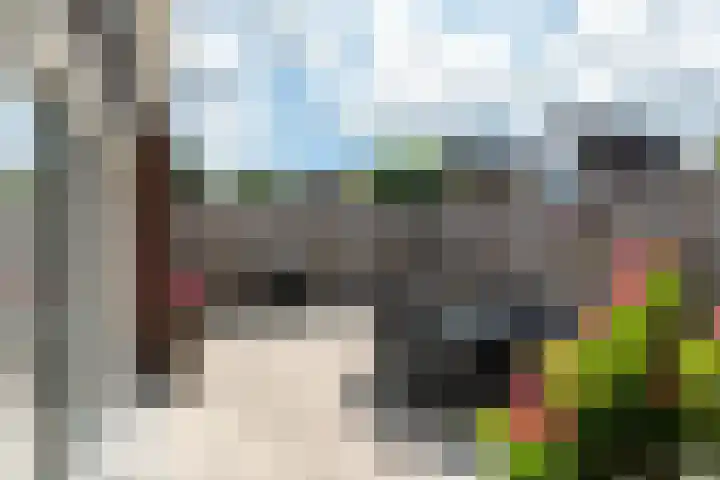 Stal 211 Drachten thumbnail 4