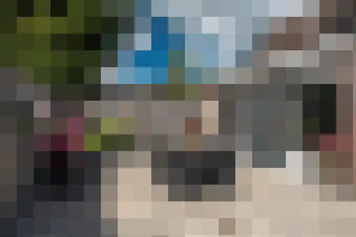 Stal 211 Drachten thumbnail 5