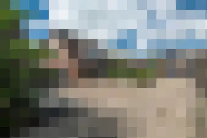 Stal 211 Drachten thumbnail 7