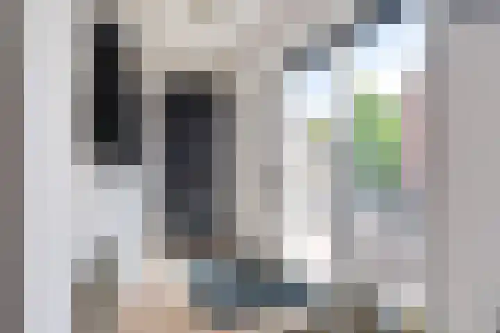 Stal 211 Drachten thumbnail 8