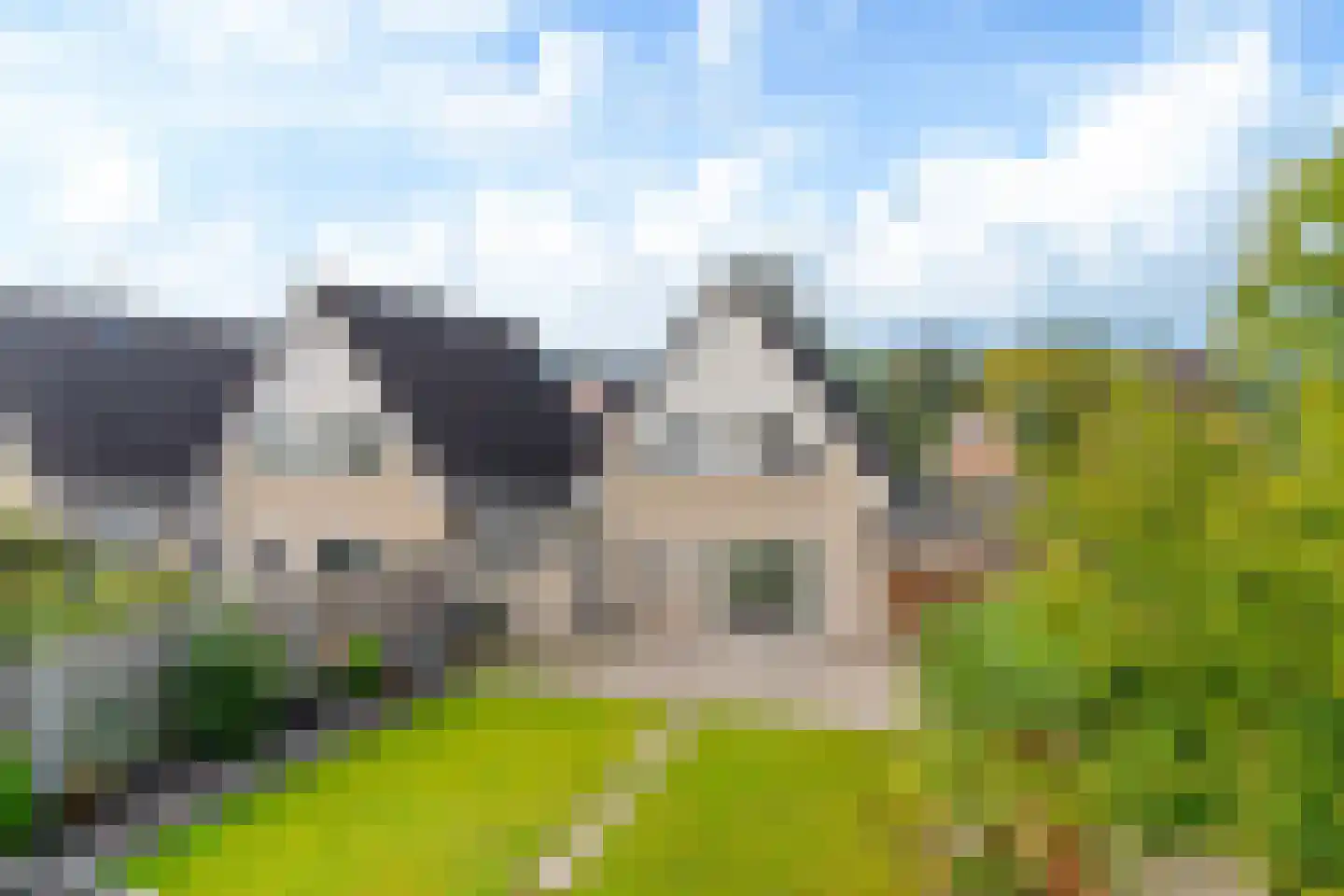 Stal 235 Drachten thumbnail 29