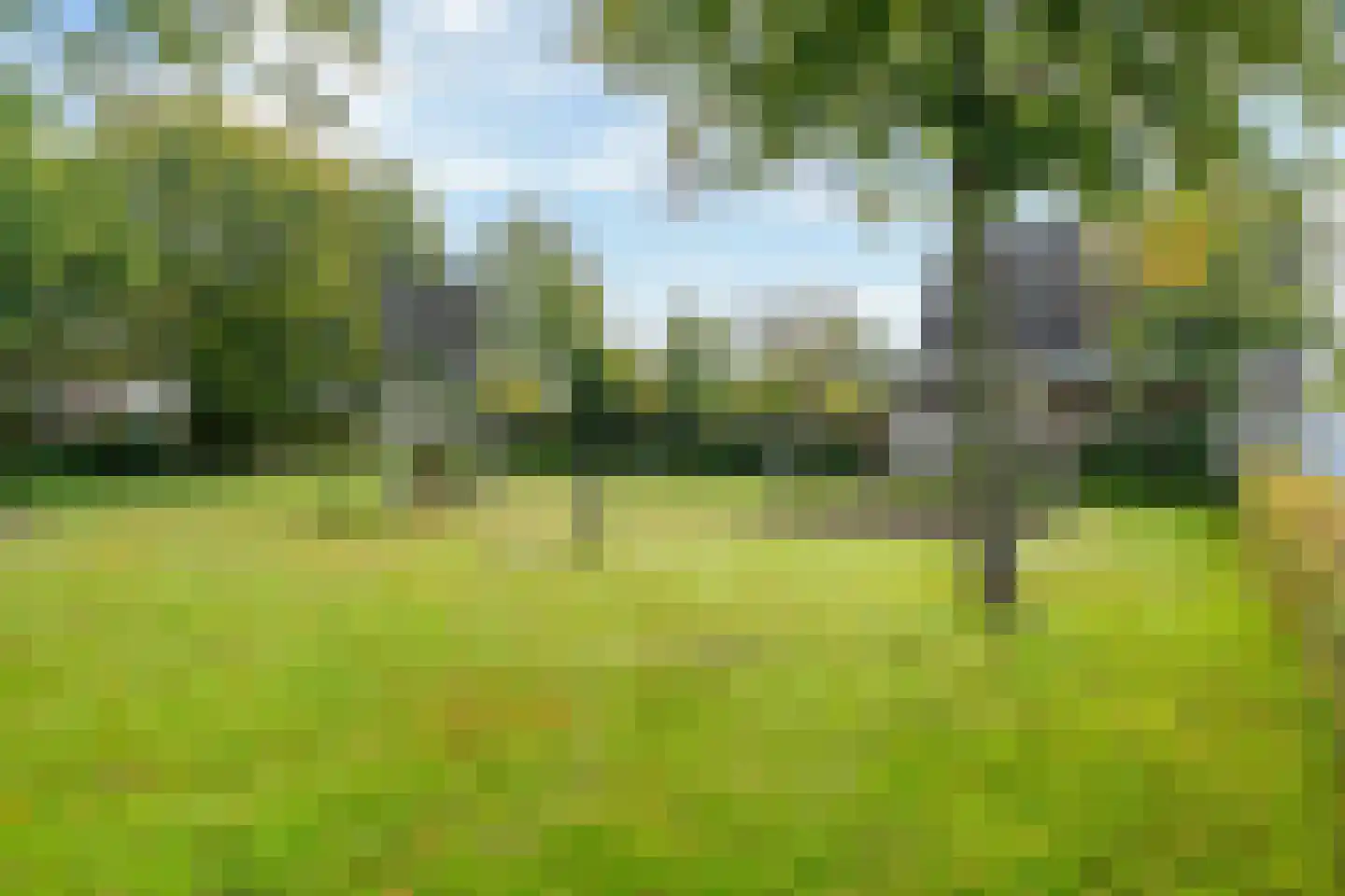 Stal 235 Drachten thumbnail 38