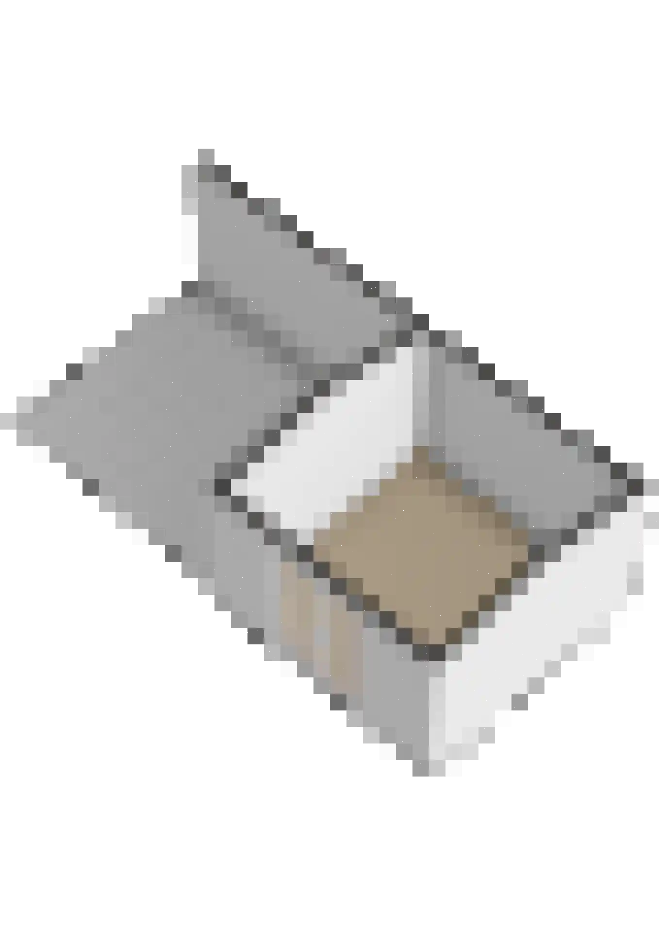 Stal 235 Drachten thumbnail 48
