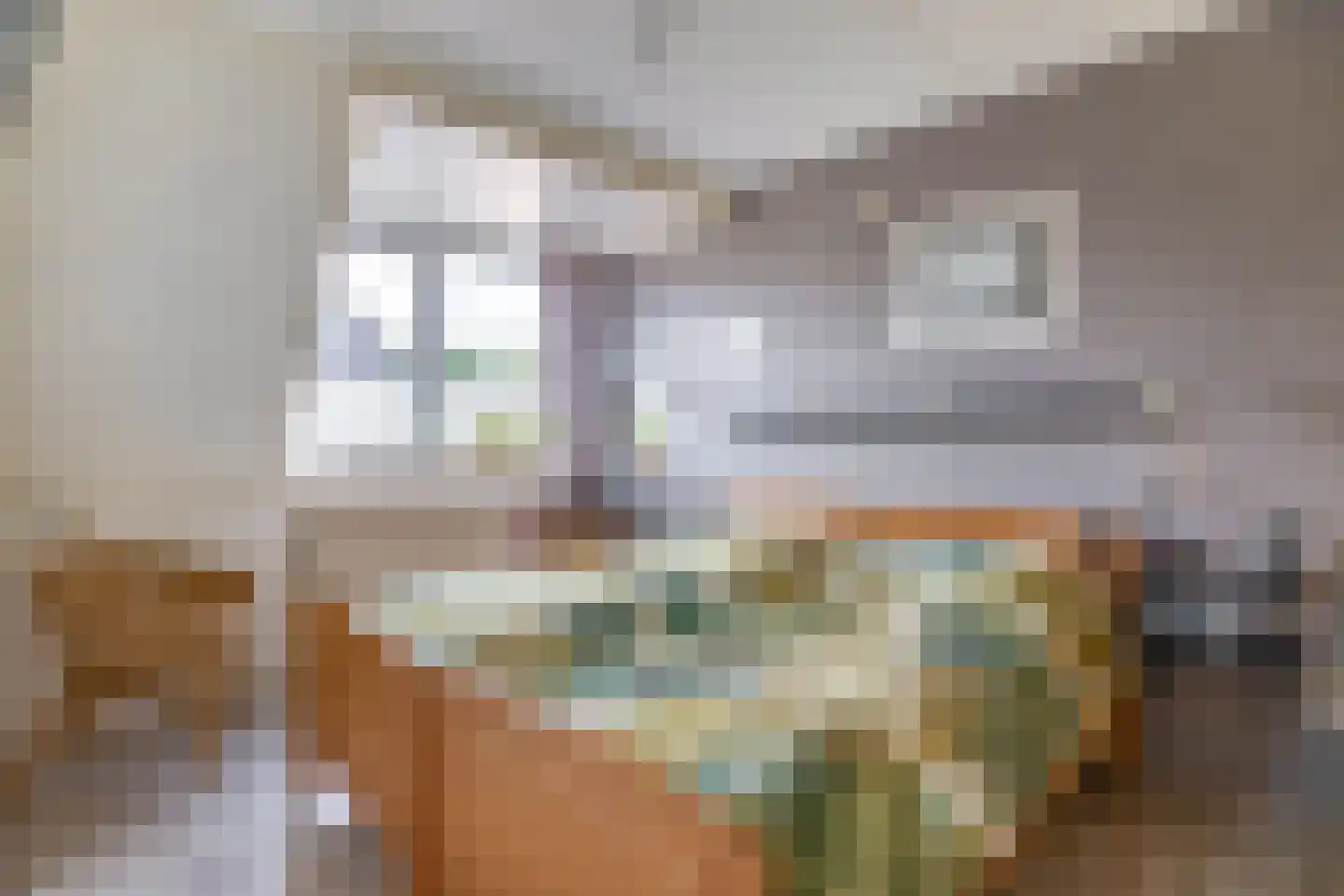 Stal 259 Drachten thumbnail 17
