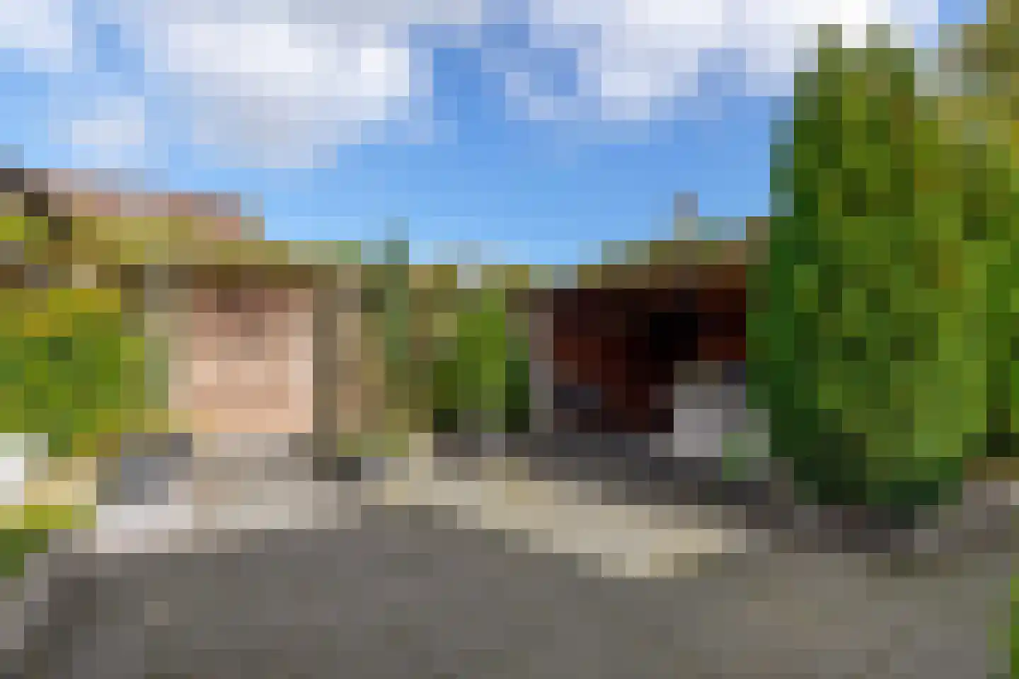 Stal 259 Drachten thumbnail 28