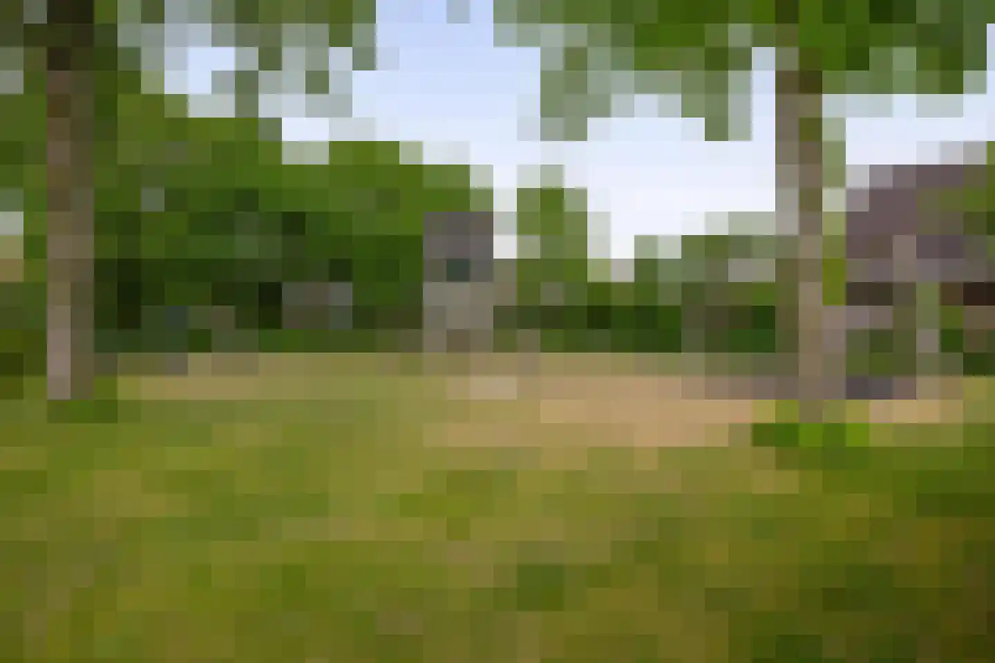Stal 259 Drachten thumbnail 32