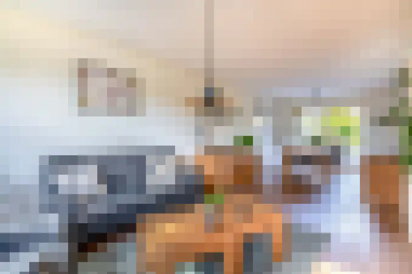 Stal 259 Drachten thumbnail 5