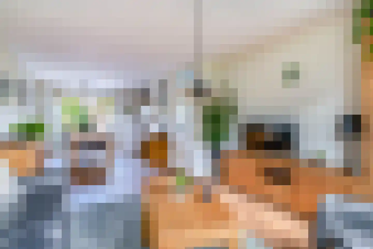 Stal 259 Drachten thumbnail 6