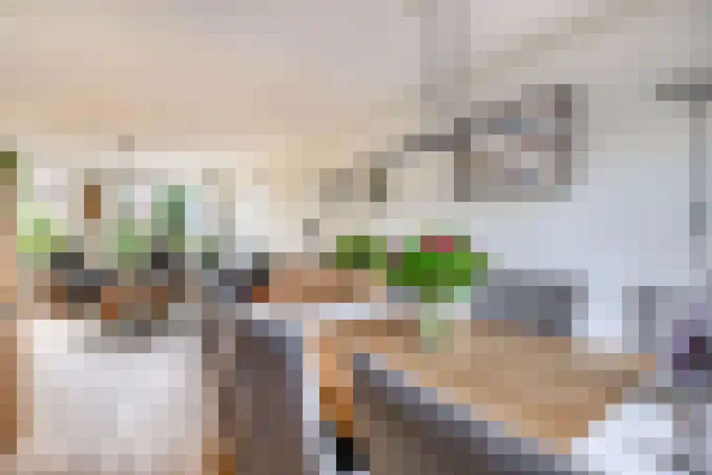Stal 259 Drachten thumbnail 9